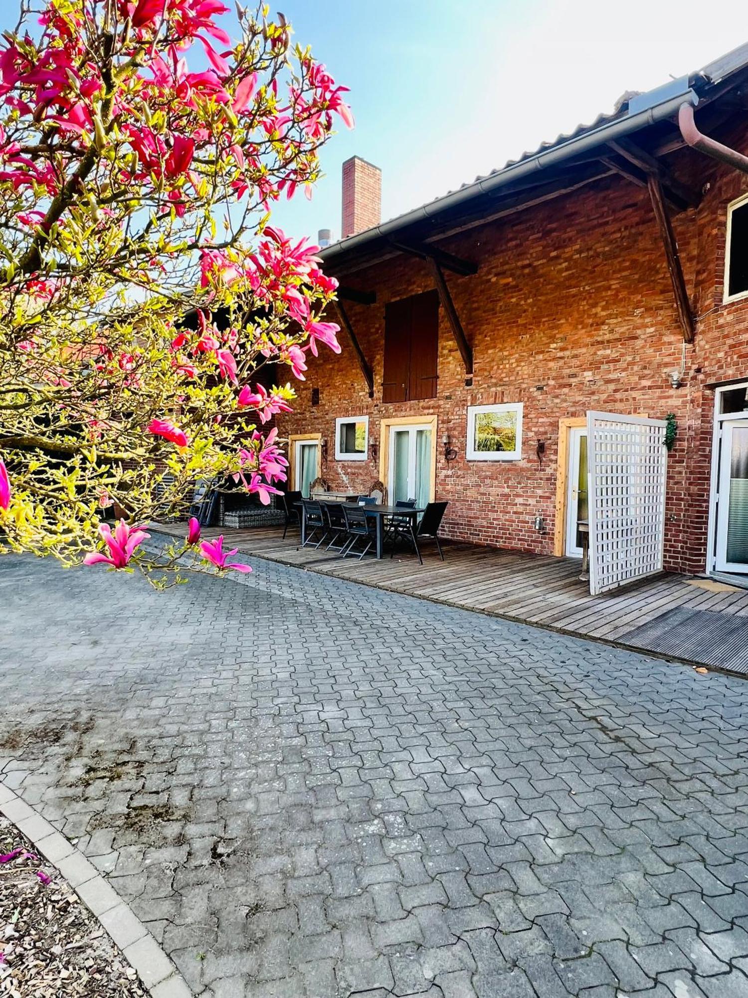 Ferienwohnungen Maedchen Wunstorf Zewnętrze zdjęcie